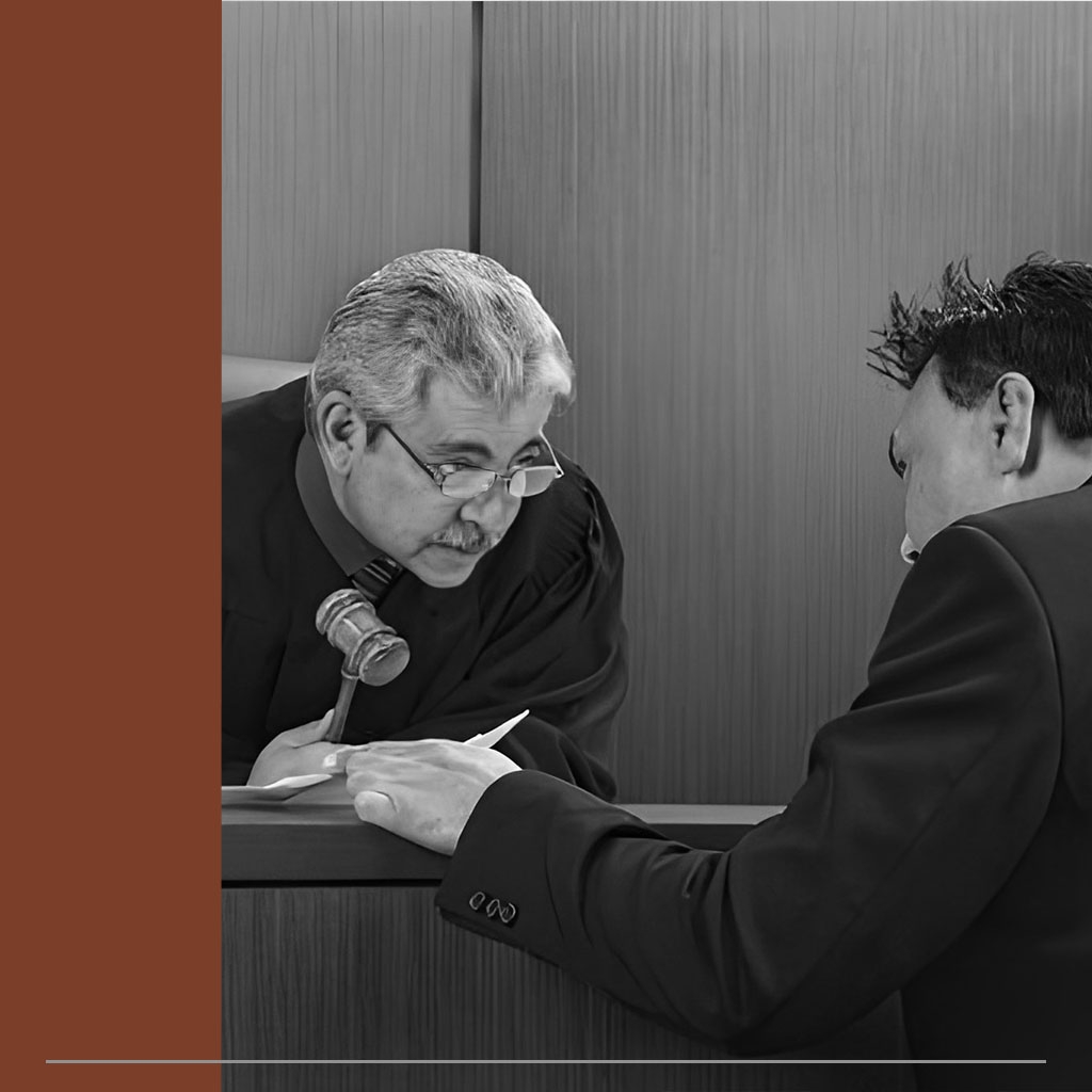 حضور نماینده حقوقی (غیروکیل) در محاکم